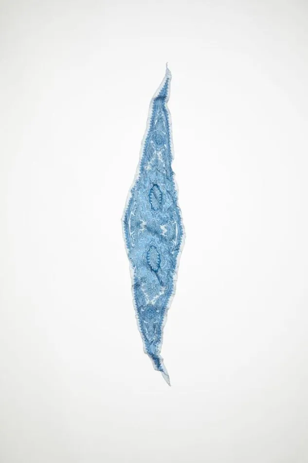 Acne Studios Scarves Man Printed Silk Scarf Denim Blue