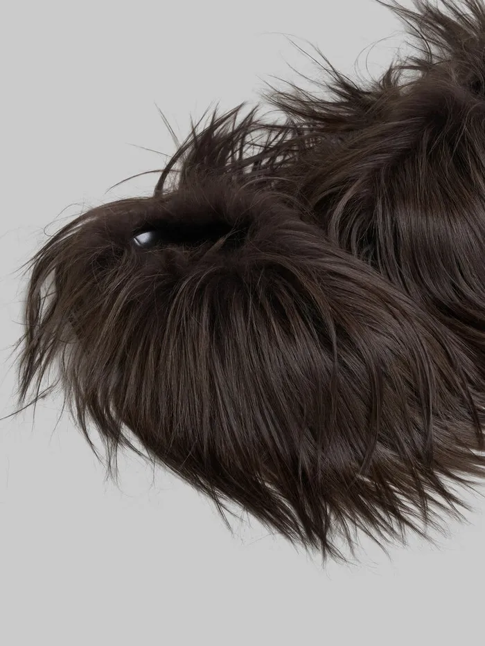 Brown Kidassa Fur Fussbett Sabot Men Marni Pablo Sneakers