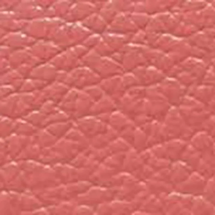 Coccinelle Wallets and Small Leather Goods Metallic Soft 8211 Women