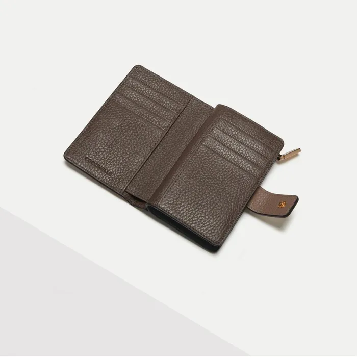 Coccinelle Wallets and Small Leather Goods Metallic Tricolor Kalgwartcof 8211 Women
