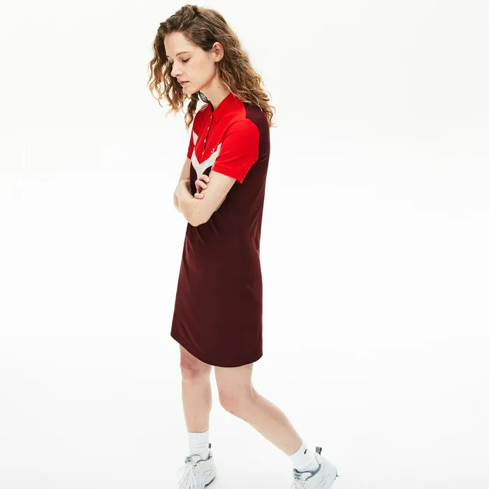 ColorBlocked Stretch Cotton Polo Dress BordeauxBeigeRed Womens Lacoste Dresses and Skirts Gift 4 You
