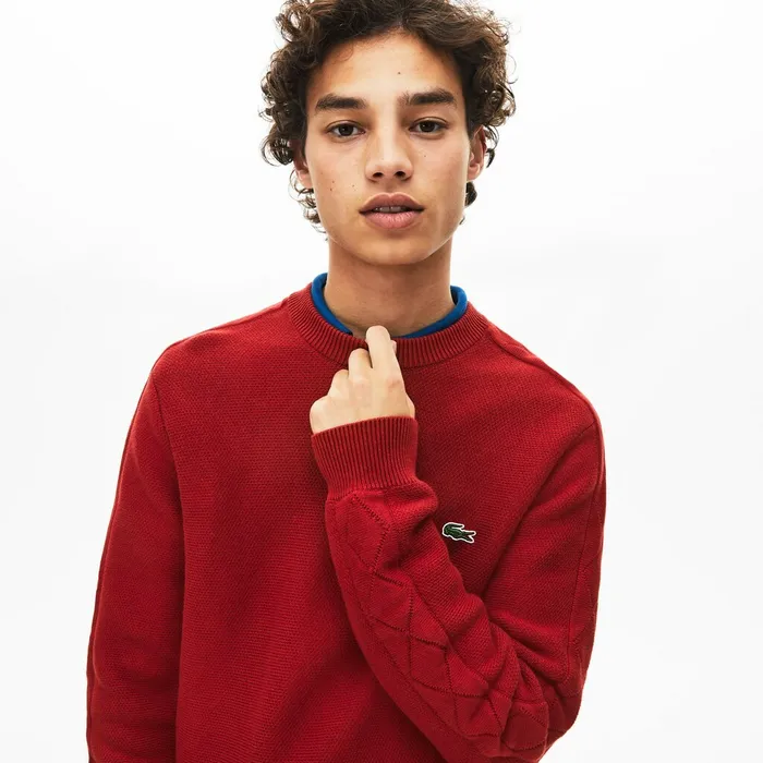 Crewneck QuiltedSleeve Cotton Piqu Sweater Bordeaux Mens Lacoste Sweaters On Sale Crewneck QuiltedSleeve Cotton Piqu Sweater Bordeaux Mens Lacoste Sweaters On Sale