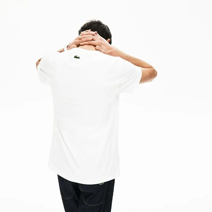 Graphic Print Regular Fit Cotton Tshirt White Mens Lacoste TShirts On Sale
