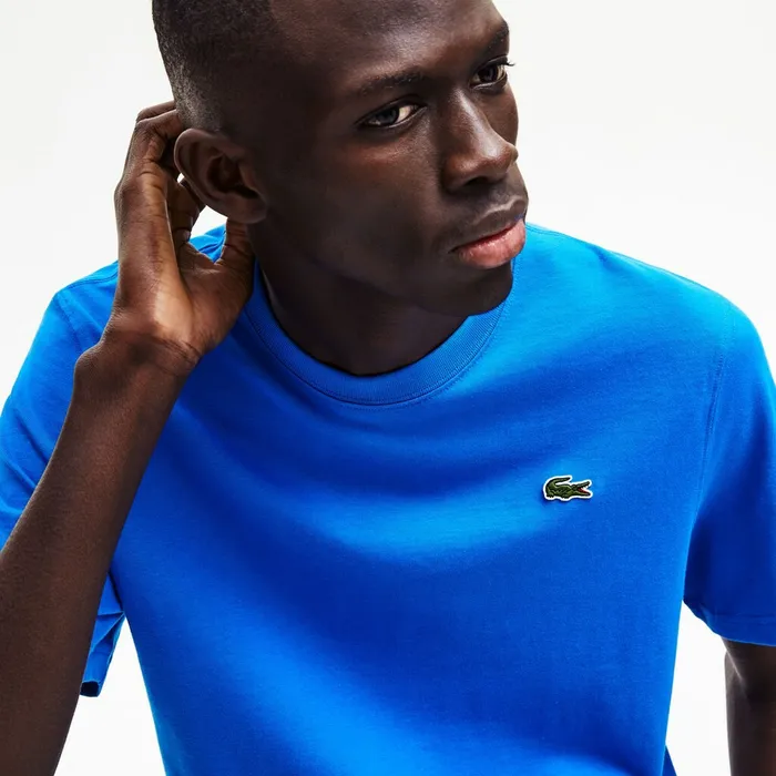 LIVE PrintedBack Cotton TShirt BlueWhite Mens Lacoste TShirts Shop Online