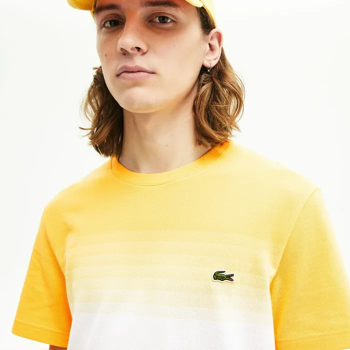 Made in France Cotton Piqu Cotton Crew Neck Tshirt YellowWhite Mens Lacoste TShirts Online Outlet Store