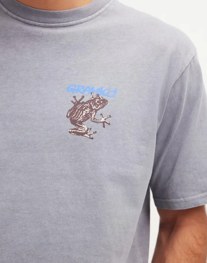 Men Tees Madewell Gramicci Sticky Frog Graphic Tee