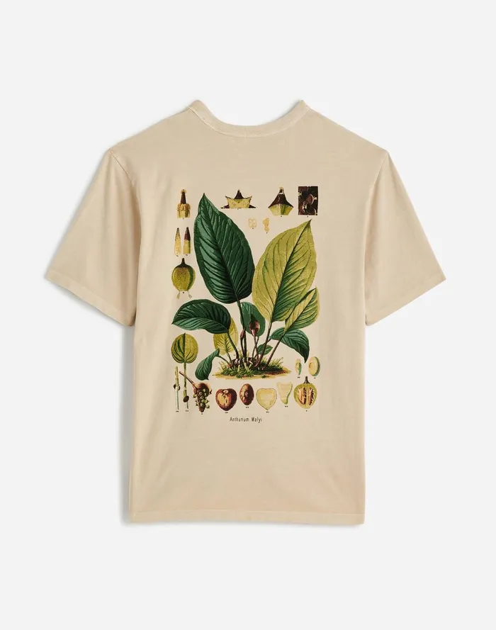 Men Tees Madewell X NYBG Graphic Tee