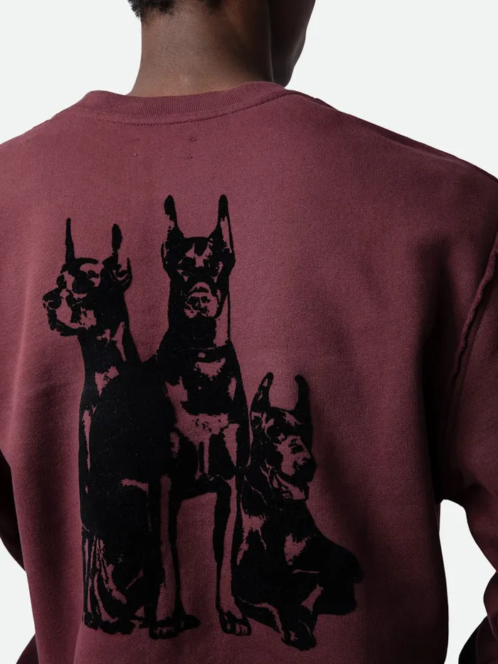Men Zadig and Voltaire Sweaters and Cardigans Simba Sweatshirt Cherry Red