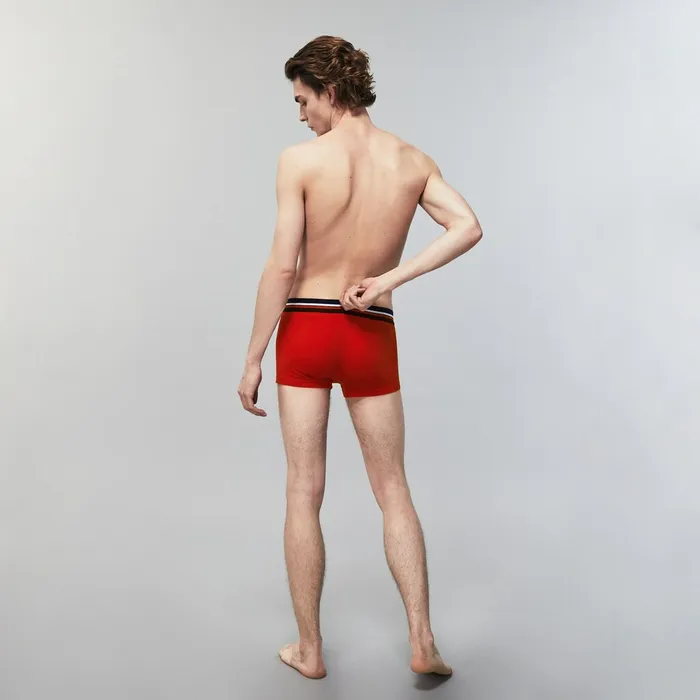 Pack Of 3 Iconic Boxer Briefs With ThreeTone Waistband Navy BlueGrey ChineRed Mens Lacoste Underwear On Sale