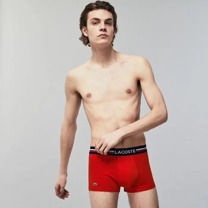 Pack Of 3 Iconic Boxer Briefs With ThreeTone Waistband Navy BlueGrey ChineRed Mens Lacoste Underwear On Sale