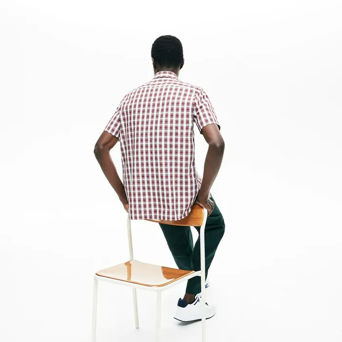 Short Sleeve Plaid Poplin Shirt WhiteBordeaux Mens Lacoste Button Down Shirts For Sale