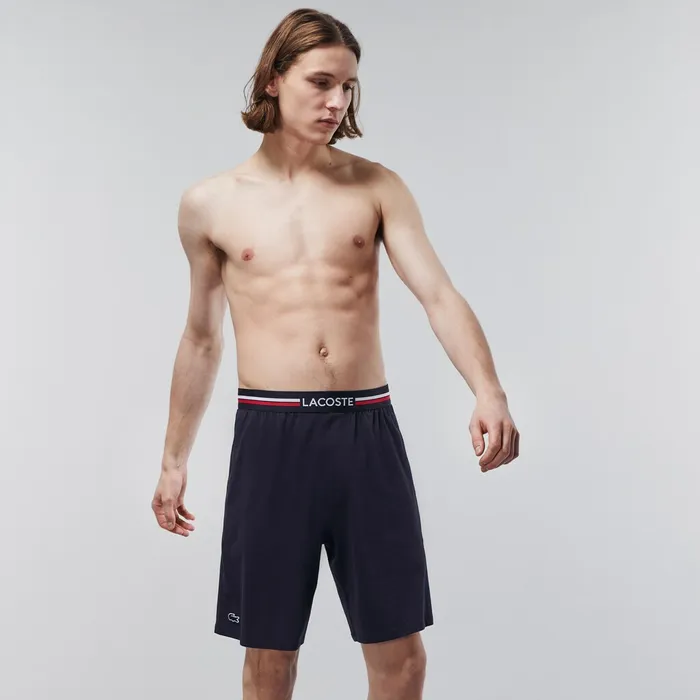 StripedWaist Long Boxer Briefs Navy Blue Mens Lacoste Underwear Store